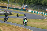 Middle Group Green Bikes